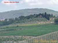 Toscana - colline del chianti