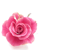 modello di bigliettino di invito (con rosa) per occasioni, anniversari e festeggiamenti