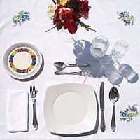 tavola apparecchiata per cena (pranzo)