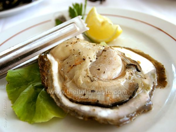 Raw oysters