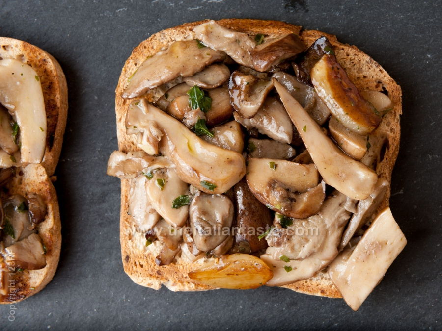 Wild mushrooms (porcini) in oil