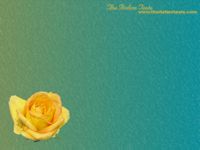 sfondo per il desktop con rosa gialla