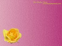 sfondo per il desktop con rosa gialla